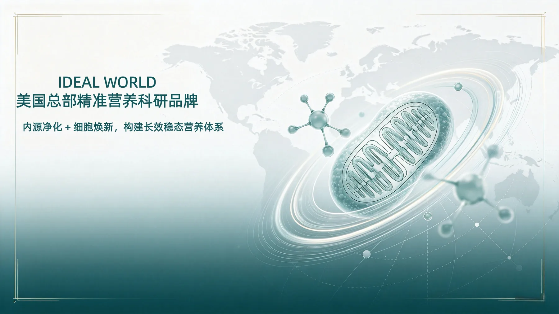 双矩阵稳态营养体系正式完成官网知识架构升级